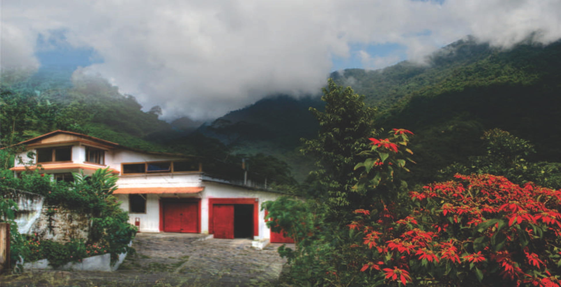 Tour image